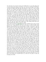 Bài tham luận thị trường mở ppt