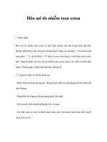 Hôn mê do nhiễm toan ceton pps