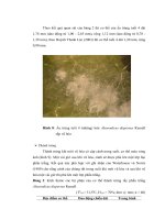 Luận văn : KHẢO SÁT MỘT SỐ ĐẶC ĐIỂM SINH HỌC, SINH THÁI CỦA HAI LOÀI RẦY PHẤN TRẮNG Aleurodicus dispersus Russell VÀ Bemisia tabaci Gennadius part 5 ppsx