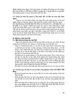 Luận văn tốt nghiệp: Tìm hiểu chỉ số vốn đầu tư nước ngoài (FDI) và vai trò của nó trong phát triển kinh tế phần 4 pdf