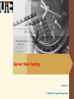 Báo cáo Server side testing tips