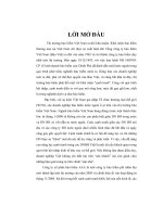 Giải pháp về marketing nhằm nâng cao năng lực cạnh tranh của công ty cổ phần bảo hiểm AAA