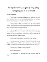 Hỗ trợ đầu tư trồng và quản lý rừng giống, vườn giống; mã số hồ sơ 148353 pdf