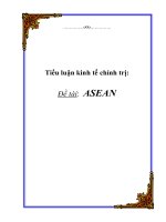 Tiểu luận khoa học chính trị: ASEAN docx