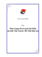Luận văn tốt nghiệp : Thực trạng chi trả quỹ bảo hiểm tại tỉnh Cẩm Xuyên- Hà Tĩnh hiện nay pptx