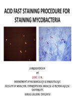 acid fast staining procedure for staining mycobacteria