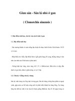Giun sán - Sán lá nhỏ ở gan ( Clonorchis sinensis ) pdf