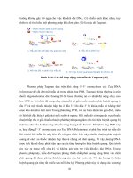 Luận văn : BƯỚC ĐẦU XÂY DỰNG QUY TRÌNH ĐỊNH LƯỢNG CÁC SẢN PHẨM BIẾN ĐỔI GEN BẰNG PHƯƠNG PHÁP REAL-TIME PCR part 4 potx