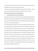 Bản chất thuế VAT và VAT ở Việt Nam - 6 pdf