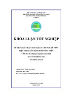 Sử dụng kỹ thuật DasElisa và RTPCR để phát hiện virus gây bệnh đốm võng trên cây đu đủ tại hai tỉnh đồng nai và đồng tháp