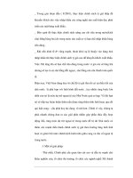 Lãi suất tý giá hối đoái và sự quản lý lãi suất ở Việt Nam - 6 ppsx