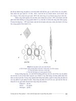 Giáo trình kỹ thuật lạnh và lạnh đông thực phẩm part 8 pdf