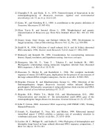 Luận văn : Khuếch đại vùng gen ITS1 - 5,8 S - ITS2 các nguồn nấm Beauveria basiana có tính độc cao part 7 doc