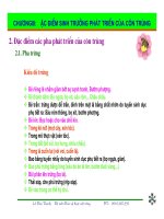 Bài giảng côn trùng : Đặc điểm sinh trưởng phát triển của côn trùng part 2 pps