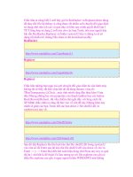 Reshacker và Replacer - Chuyển giao diện nhanh chóng và đơn giản doc