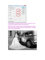 Giáo trình Photoshop: Hiệu Ứng Khác Nhau của Màu Sắc phần 2 pptx