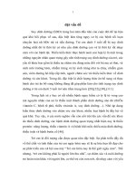 tình trạng dinh dưỡng của trẻ em dưới 5 tuổi và thử nghiệm một số giải pháp can thiệp tại cộng đồng ở tỉnh bắc kạn