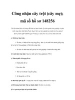 Công nhận cây trội (cây mẹ); mã số hồ sơ 148256 docx