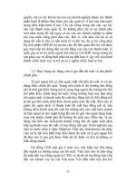 Quá trình hình thành một số vấn đề về tỷ giá hối đoái và chính sách tỷ giá hối đoái ở việt nam p2 pptx