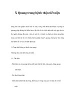 X Quang trong bệnh thận tiết niệu pps