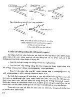 Advanced Biology - Lý Thuyết Di Truyền, Di Truyền Phân Tử Phần 6 pptx