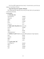 Luân. văn : Xây dựng quy trình biến nạp đoạn DNA vào tế bào vi khuẩn E.coly DH5α part 9 pptx