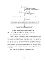 Luận văn : PHÂN LẬP, KHẢO SÁT ĐẶC ĐIỂM SINH HỌC VÀ TÌM HIỂU KHẢ NĂNG SINH ENZYME CỦA VI KHUẨN BACILLUS SUBTILIS ĐỂ SẢN XUẤT THỬ NGHIỆM CHẾ PHẨM SINH HỌC part 4 potx