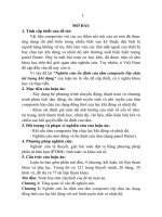 tóm tắt nghiên cứu ổn định của tấm composite lớp chịu tải trọng khí động