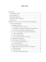 một số giải pháp phát triển thương hiệu dịch vụ ngâm bùn khoáng tại trung tâm du lịch suối khoáng nóng tháp bà