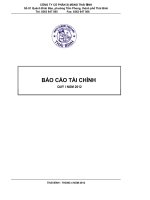công ty cổ phần xi măng thái bình báo cáo tài chính quý 1 năm 2012