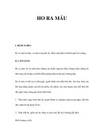 HO RA MÁU ppt