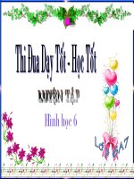 bài giảng toán 6 luyện tập hình học 6