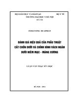 đánh giá hiệu quả của phẫu thuật cắt uốn dưới và chỉnh hình vách ngăn dưới niêm mạc - màng xương