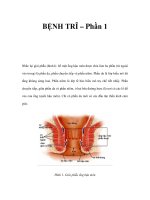 BỆNH TRĨ – Phần 1 pdf