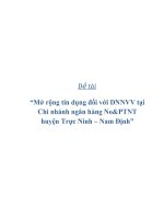 Đề tài “Mở rộng tín dụng đối với DNNVV tại Chi nhánh ngân hàng No&PTNT huyện Trực Ninh – Nam Định” pot
