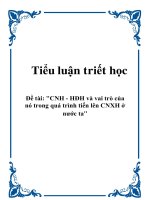 Tiểu luận triết học: CNH - HĐH và vai trò của nó trong quá trình tiến lên CNXH ở nước ta docx