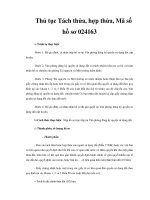 Thủ tục Tách thửa, hợp thửa, Mã số hồ sơ 024163 pdf