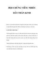 HỘI CHỨNG VIÊM NHIỀU DÂY THẦN KINH pptx