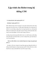 Lập trình cho Robot trong hệ thống CIM ppsx