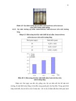 Luận văn : Khảo sát sinh trưởng nấm Linh chi đen (Amauroderma subresinosum, Corner) phát hiện tại vùng núi Chứa Chan - Việt Nam part 5 docx