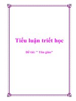 Tiểu luận triết học: Tôn giáo docx