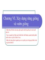 Bài giảng giống cây rừng : Xây dựng rừng giống và vườn giống part 1 docx