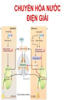 CHUYỂN HÓA NƯỚC ĐIỆN GIẢI pot