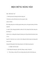 HỘI CHỨNG MÀNG NÃO pps