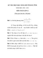Đề thi chọn học sinh giỏi môn toán tỉnh Hà Tĩnh năm 2010 - 2011 ppsx