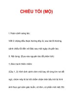 CHIỀU TỐI (MỘ) potx