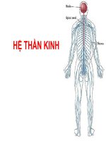 HỆ THẦN KINH THỰC VẬT doc