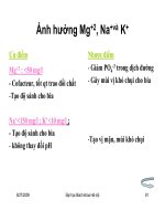 Giáo trình : Công nghệ sản xuất bia và malt part 9 pptx