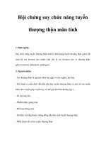 Hội chứng suy chức năng tuyến thượng thận mãn tính ppsx