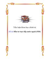 Tiểu luận KTCT: Đầu tư trực tiếp nước ngoài (FDI) potx